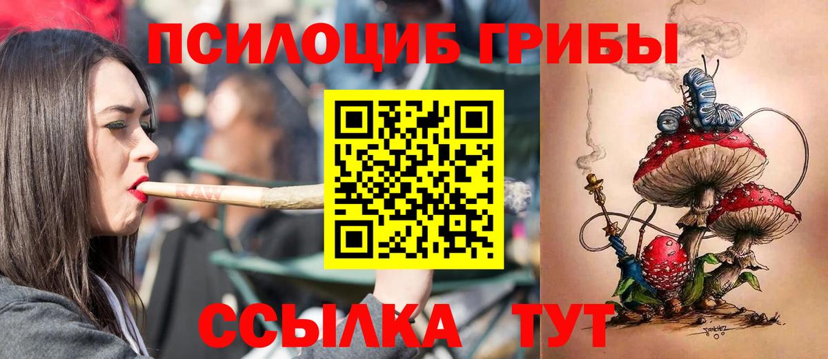 Псилоцибиновые грибы ЛСД Тихвин