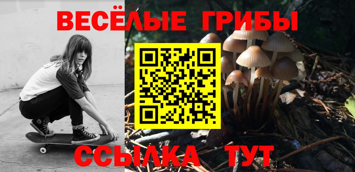 Галлюциногенные грибы мухоморы  Вход с VPN  Тихвин 